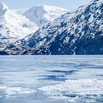 Alaska Portage glacier-spring