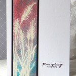 9-16-14 CASology GRASS 2 DSCN4250