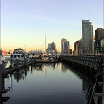 coal harbour reflection