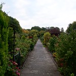 Es wird langsam herbstlich.