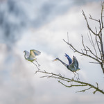 "I'm, bigger than you!"