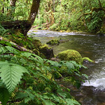 Elkhorn Creek Wild and Scenic River