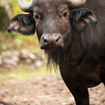 2016-10-23-10h19m33.BL7R3597