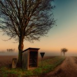 The sun fights the fog