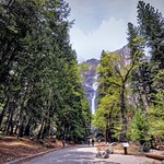 Yosemite Falls. Yosemite National Park (California)