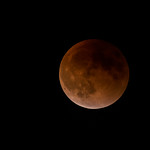 Blood Moon