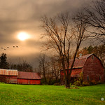 Autumn Farm # 13