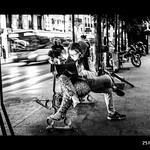 Project 365 - Day 251