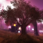 Reflections of Beauty