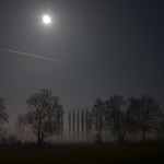 B&auml;ume bei Nacht und Nebel