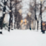 _DSC0641