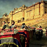 INDIEN, Fort Amber bei Jaipur, 13261/6081