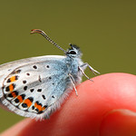 Moments later, he took off