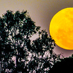 Super Moon ---- DSC_3851_EEE