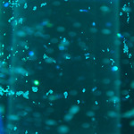 Evelina Domnitch + Dmitry Gelfand &ndash; Implosion Chamber