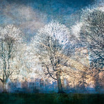 Alternative Facts or Multiple Points of View