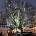 Day # 6 Leavenworth, WA