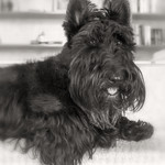 20150826-Maggie0013-13-Edit