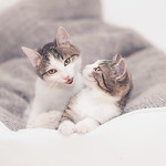 Brother & Sister Part I