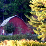 An old red barn along the road in autumn