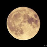 Super Moon November 2016