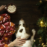 48-52 cuddles and cocoa