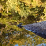 Hidden Lake, Rockville RI