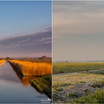 Same spot, different seasons