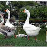 DSCN7945 Get off work