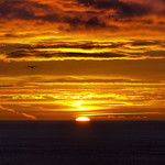 'The first sunrise without her'