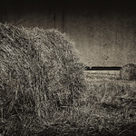 summer's almost gone...