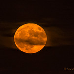 SUPER MOON casts in a red hue tonight as it rises above the Saginaw Bay, Michigan
