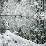 Christmas Morning, Merced River #1