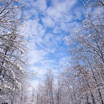 The Wonder of Winter 冰雪国度