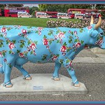 Painted Cow - London