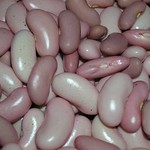 Kidney Beans