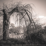 Connecting with earth