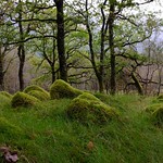 Ariundle Oakwoods, Strontian.