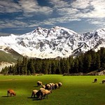 This is Pakistan too!