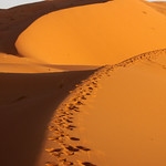 dunes just after sunrise