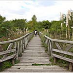 Buenos Aires Ecological Reserve - Argentina