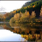 Polney loch Autumn Colours.