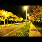 Autumn Night.