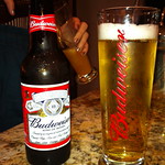 Budweiser beer