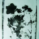 Homage &agrave; Talbot 2