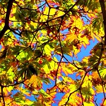 Getting ready for Autumn