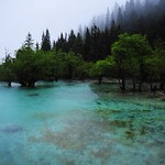 Huanglong National Park （A UNESCO site)