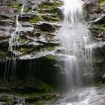 Beauty in its Purest Form