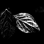 Come vite sospese...