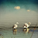 Still EXPLORED #48 - 8 Oct